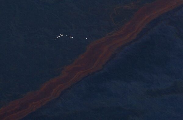 Нефтяное пятно, образовавшееся после пожара и затопления буровой установки Deepwater Horizon в Мексиканском заливе