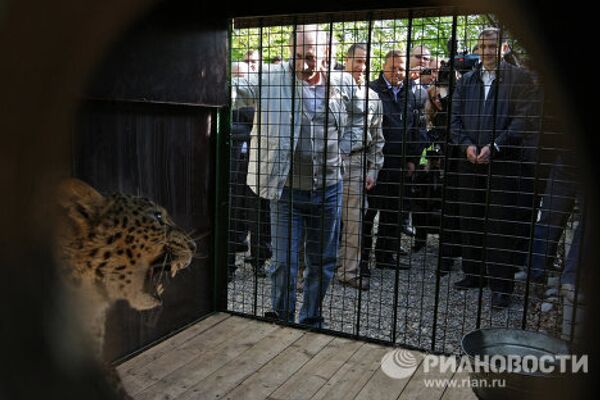 Премьер-министр РФ Владимир Путин посетил Сочинский национальный парк