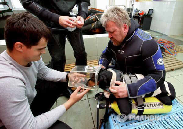 Испытание собачьего водолазного костюма во Владивостокском морском техникуме