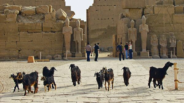 Храмовый ансамбль в Луксоре (Египет)