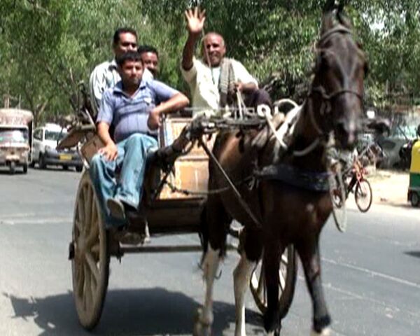 Старинный лошадиный транспорт помешал индийским властям