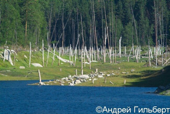 Государственный природный биосферный “Саяно-Шушенский” заповедник