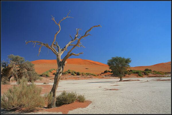 Пустыня Намиб. Архив