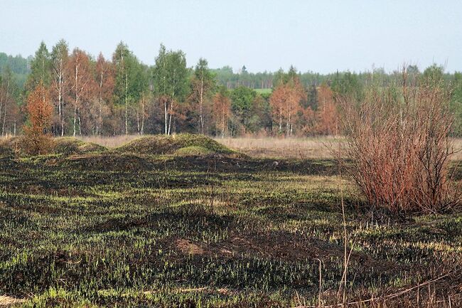 Пожары. Архив