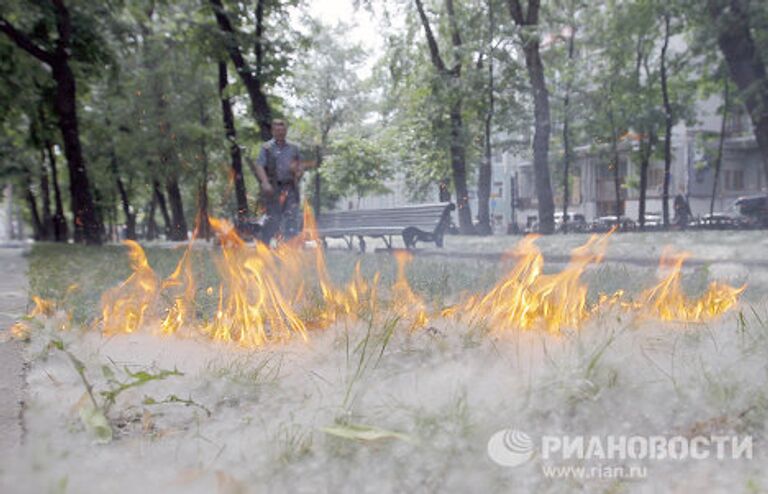 Тополиный пух в Москве