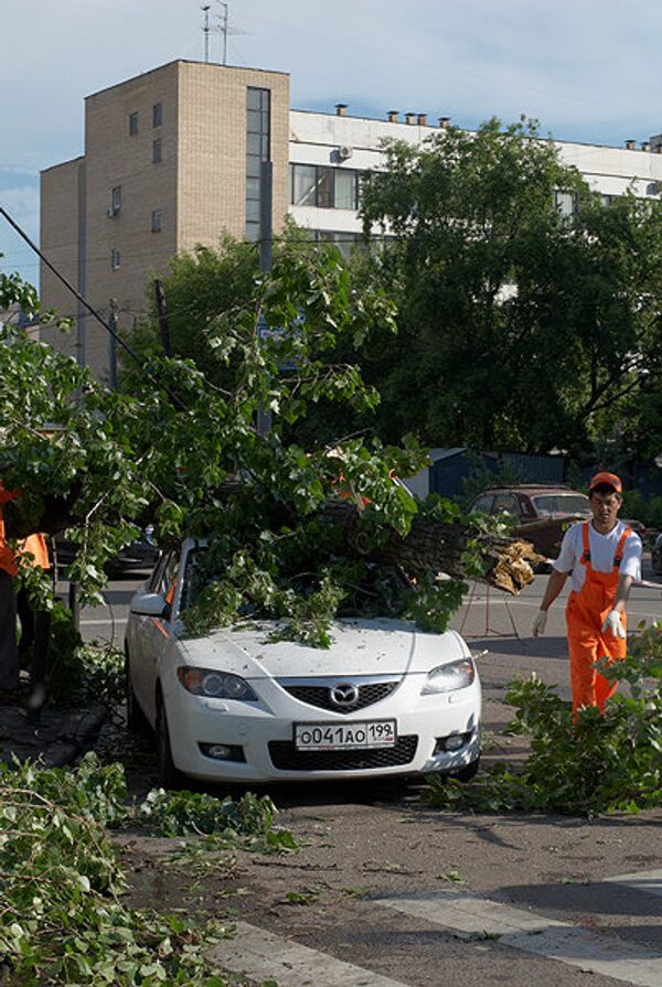 В центре Москвы на крышу автомобиля упало дерево