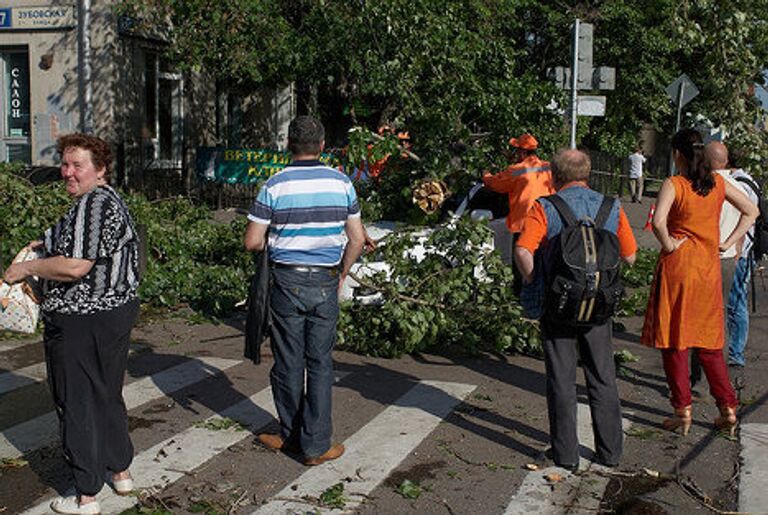 В центре Москвы на крышу автомобиля упало дерево