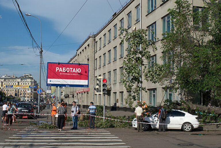 В центре Москвы на крышу автомобиля упало дерево