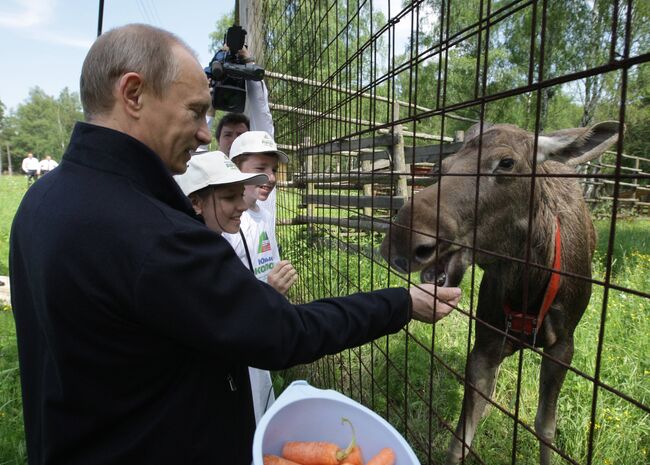 Премьер-министр РФ Владимир Путин посетил парк Лосиный остров