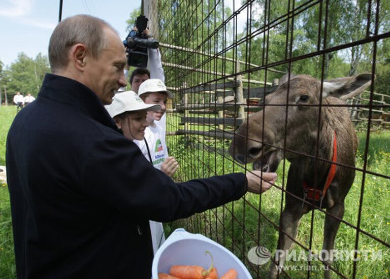 Премьер-министр РФ Владимир Путин посетил парк Лосиный остров