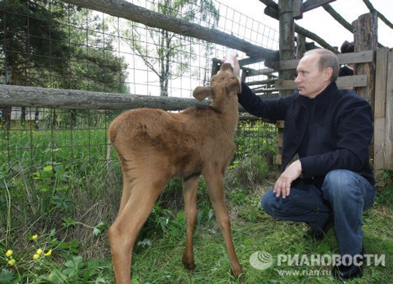 Премьер-министр РФ Владимир Путин посетил парк Лосиный остров