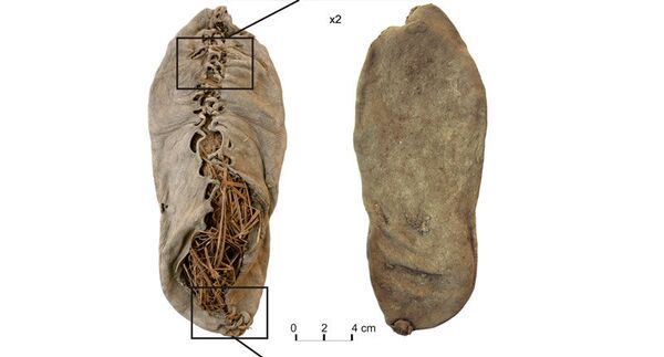 Найден самый древнейший в мире «ботинок»