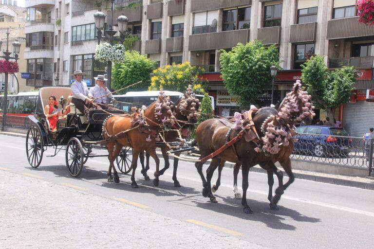  Праздник тела Христова (Corpus Christi) в Гранаде 