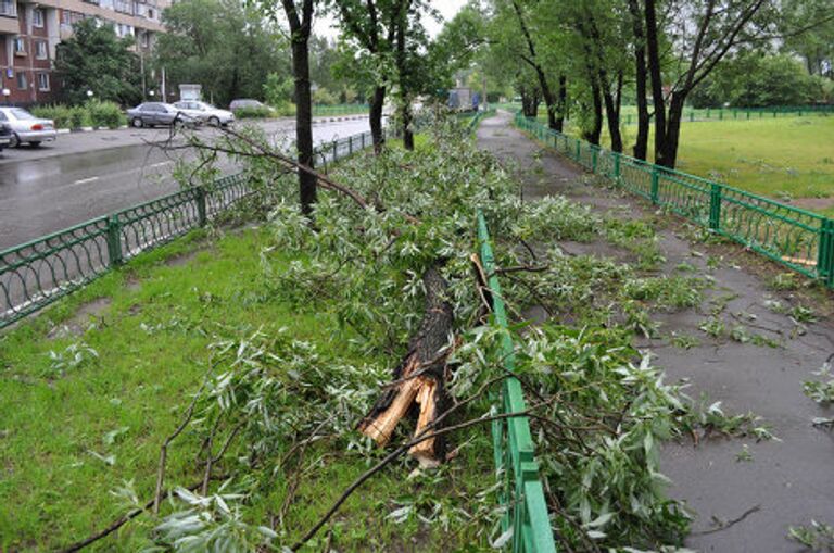 Последствия грозы в московском районе Гольяново 13 июня 2010 г. 