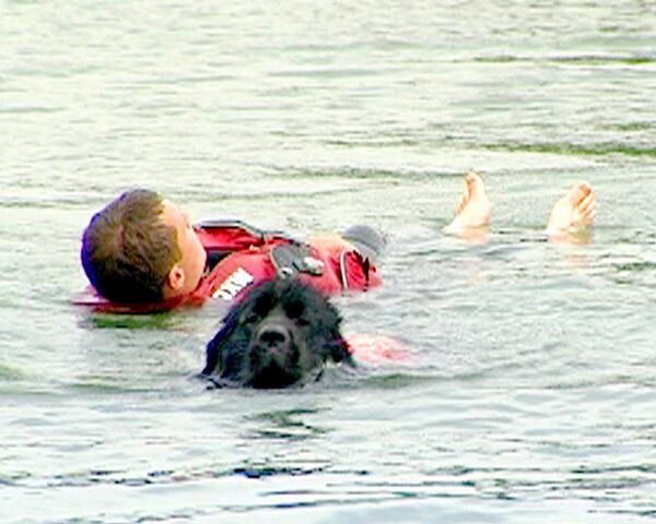 Собаки отработали на хозяевах приемы спасения на водах
