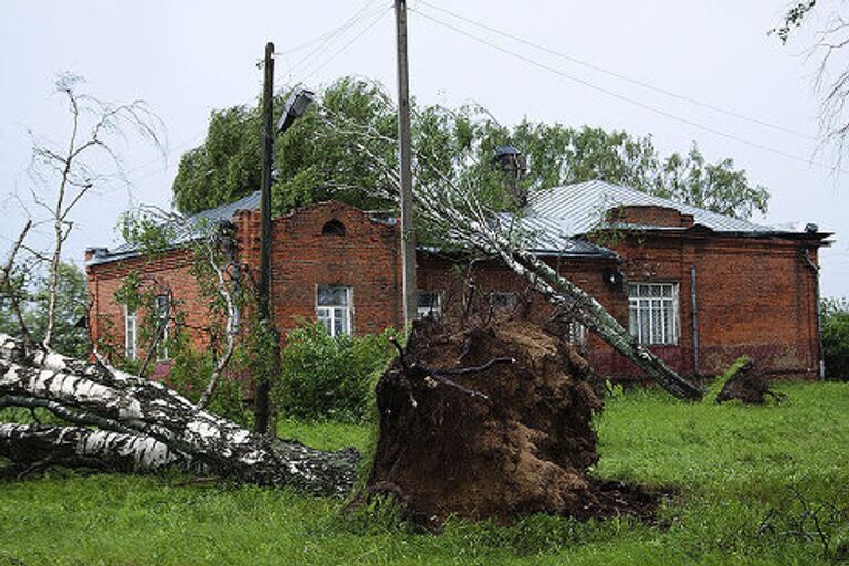 Повалены деревья во время бури