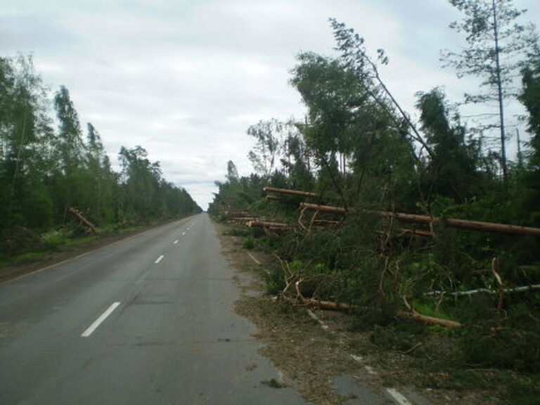 Последствия урагана в Москве 