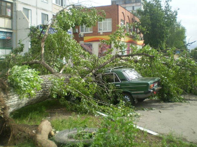 Последствия урагана в Москве