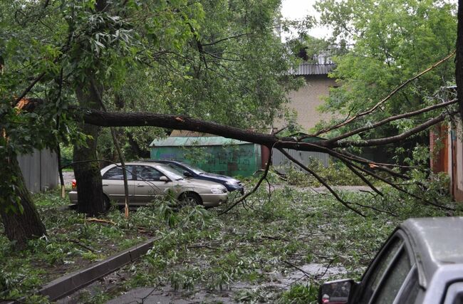 Последствия урагана. Архив