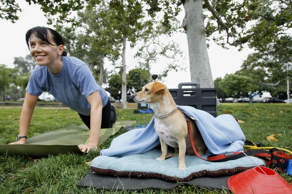 Владельцы собак со своими питомцами на занятиях фитнес-класса Thank Dog! Bootcamp в городе Бербанк, штат Калифорния