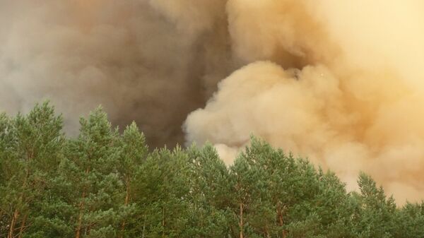 Лесной пожар в Марий Эл
