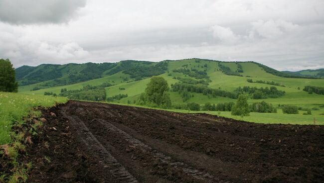 Игорная зона Сибирская монета, архивное фото