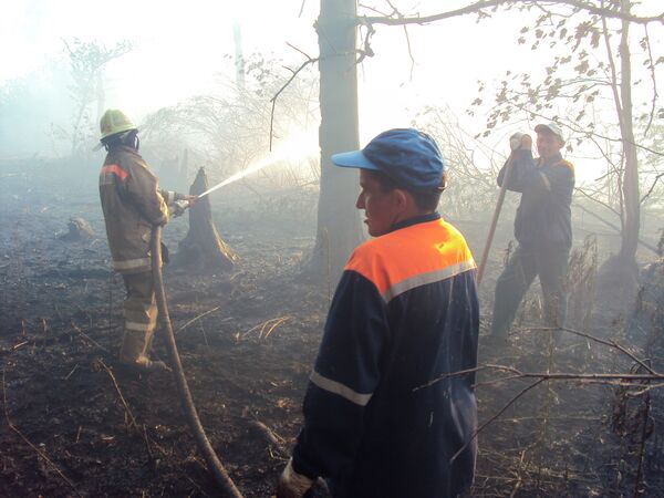 Лесной пожар в окрестностях Уфы