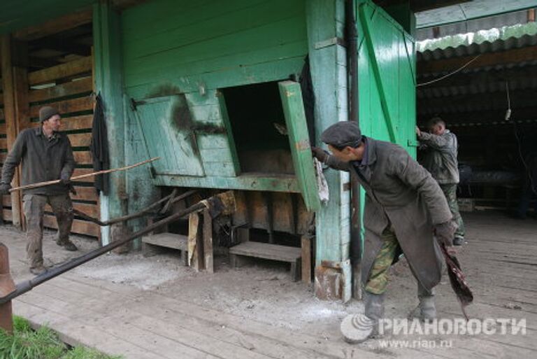 Мараловодческая ферма на Алтае