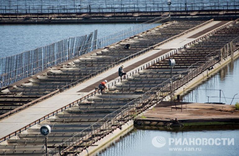 Разведение рыбы на ГУПСО Рефтинский рыбхоз