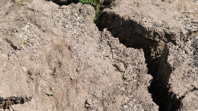 Президент Российского зернового союза (РЗС) Аркадий Злочевский считает, что засуха может ускорить темпы инфляции на 1,5-2%.