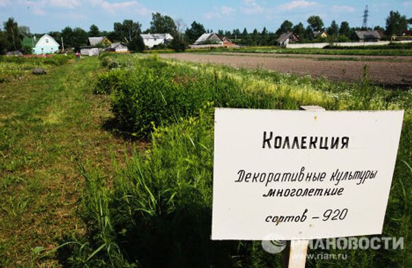 Суд рассмотрит апелляцию в споре о земле Павловской опытной станции Всероссийского института растениеводства
