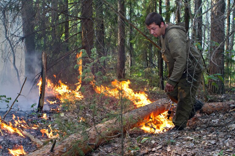 Тушение лесного пожара в Воротынском районе Нижегородской области