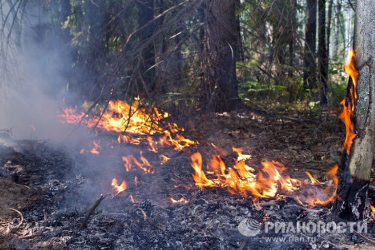 Тушение лесного пожара в Воротынском районе Нижегородской области