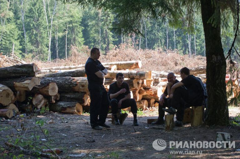 Вырубка Химкинского леса началась в районе аэропорта Шереметьево