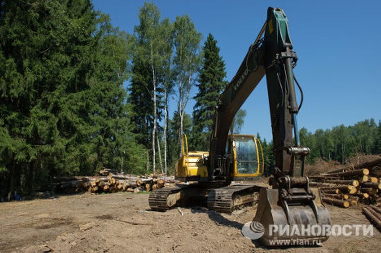 Вырубка Химкинского леса началась в районе аэропорта Шереметьево