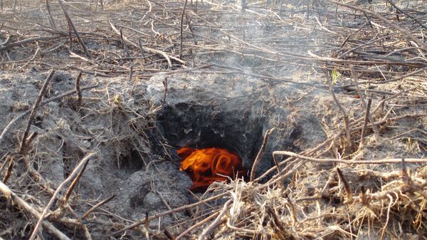 Во Владимирской области горит торф