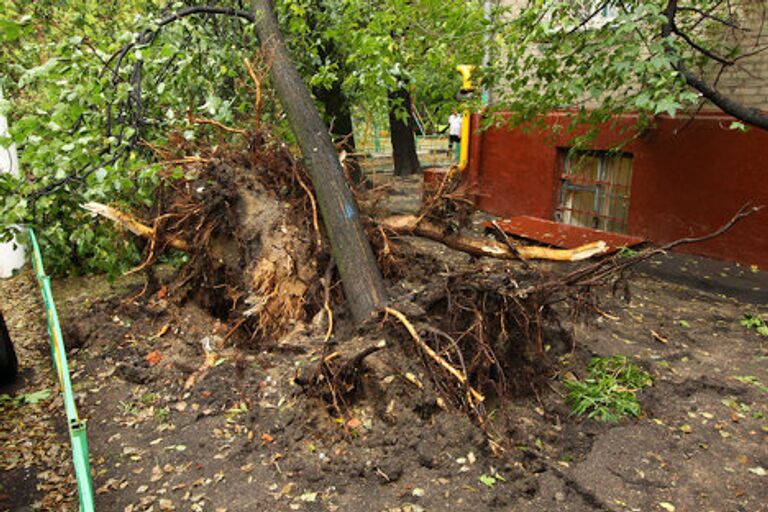 Последствия урагана в районе Соколиная гора