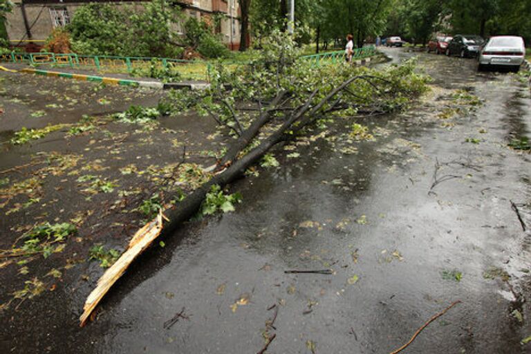 Последствия урагана в районе Соколиная гора