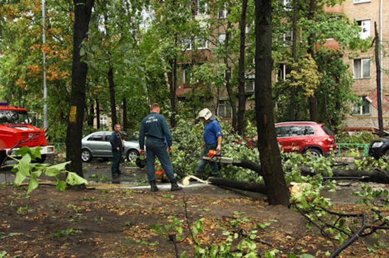 Последствия урагана в районе Соколиная гора