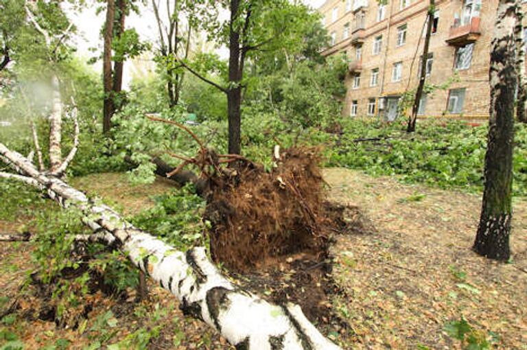 Последствия урагана в районе Соколиная гора