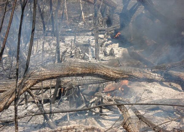 В Свердловской области горит заповедник