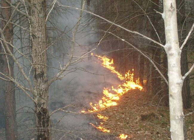 В Свердловской области горит заповедник «Денежкин камень»