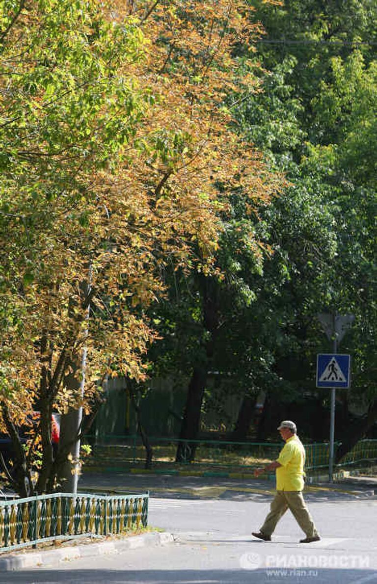 В Москве начали желтеть деревья из-за аномальной жары и недостатка влаги