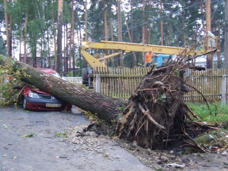 Последствия урагана в Шатуре 