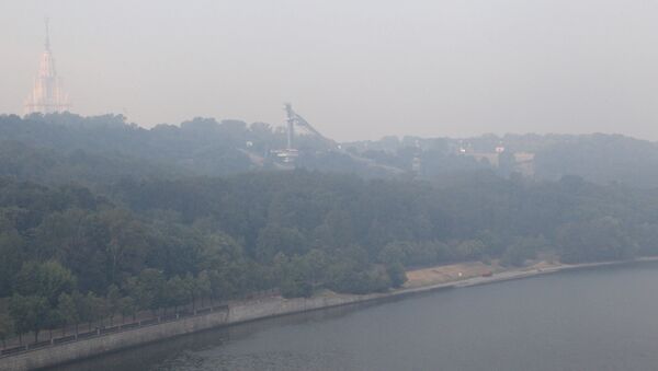 Дым окутал практически всю Москву