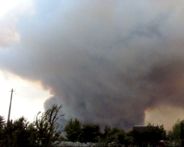 Лесные пожары в Воронежской области подошли к дачным кооперативам
