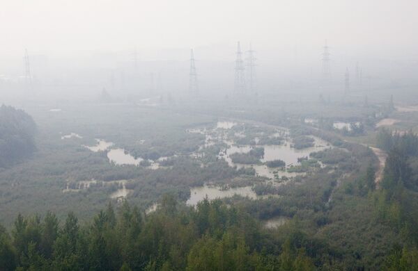 Дым над лесом в Московской области.
