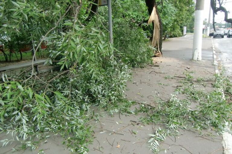 Последствия урагана на Бакинской улице в Москве