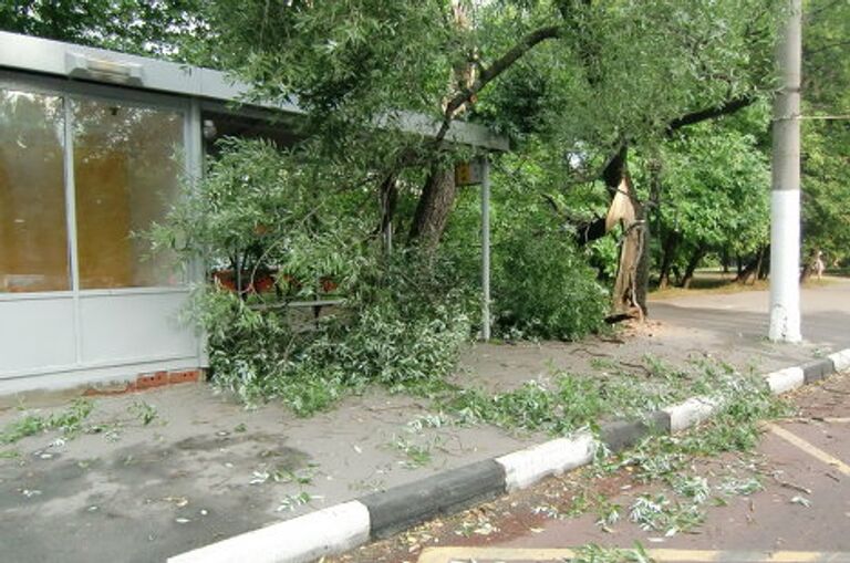 Последствия урагана на Бакинской улице в Москве