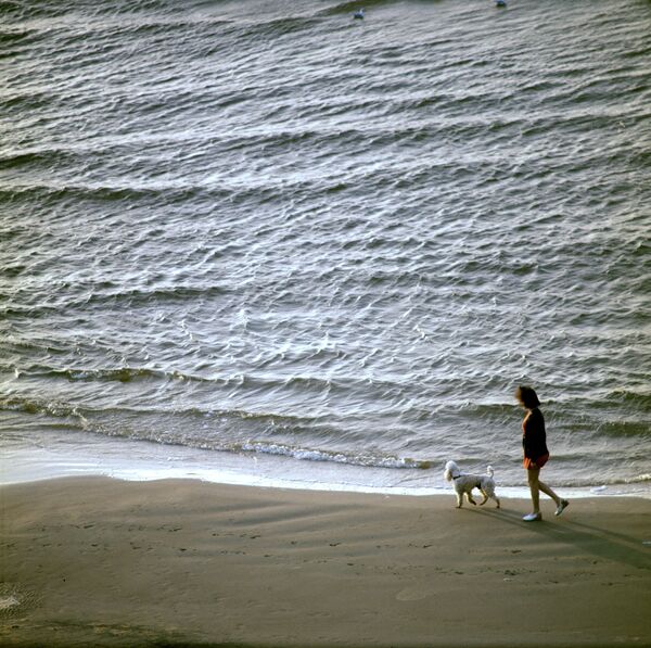Дама с собачкой на балтийском побережье